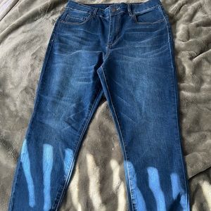 Refuge High Waisted Stretchy Raw Hem Skinny Jeans Size 12